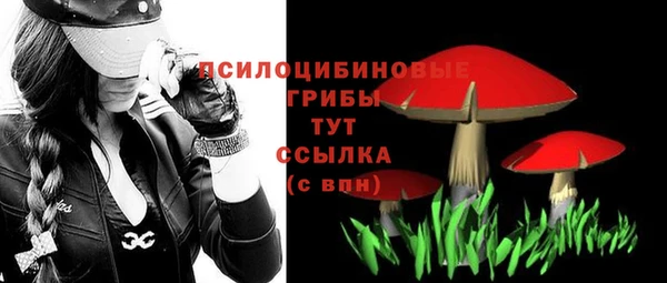 гашик Аркадак