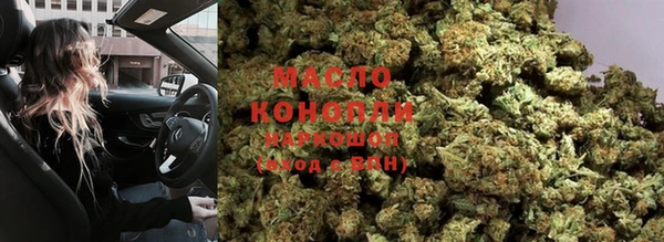 гашик Аркадак